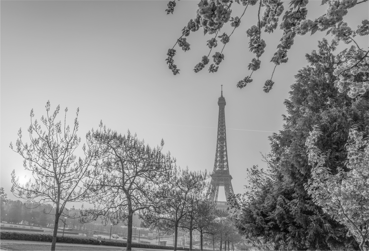 « La Tour Eiffel, cèdre en acier, s’élance soudain et fuit la suie, le trépignement, l’asphalte roussie. » 